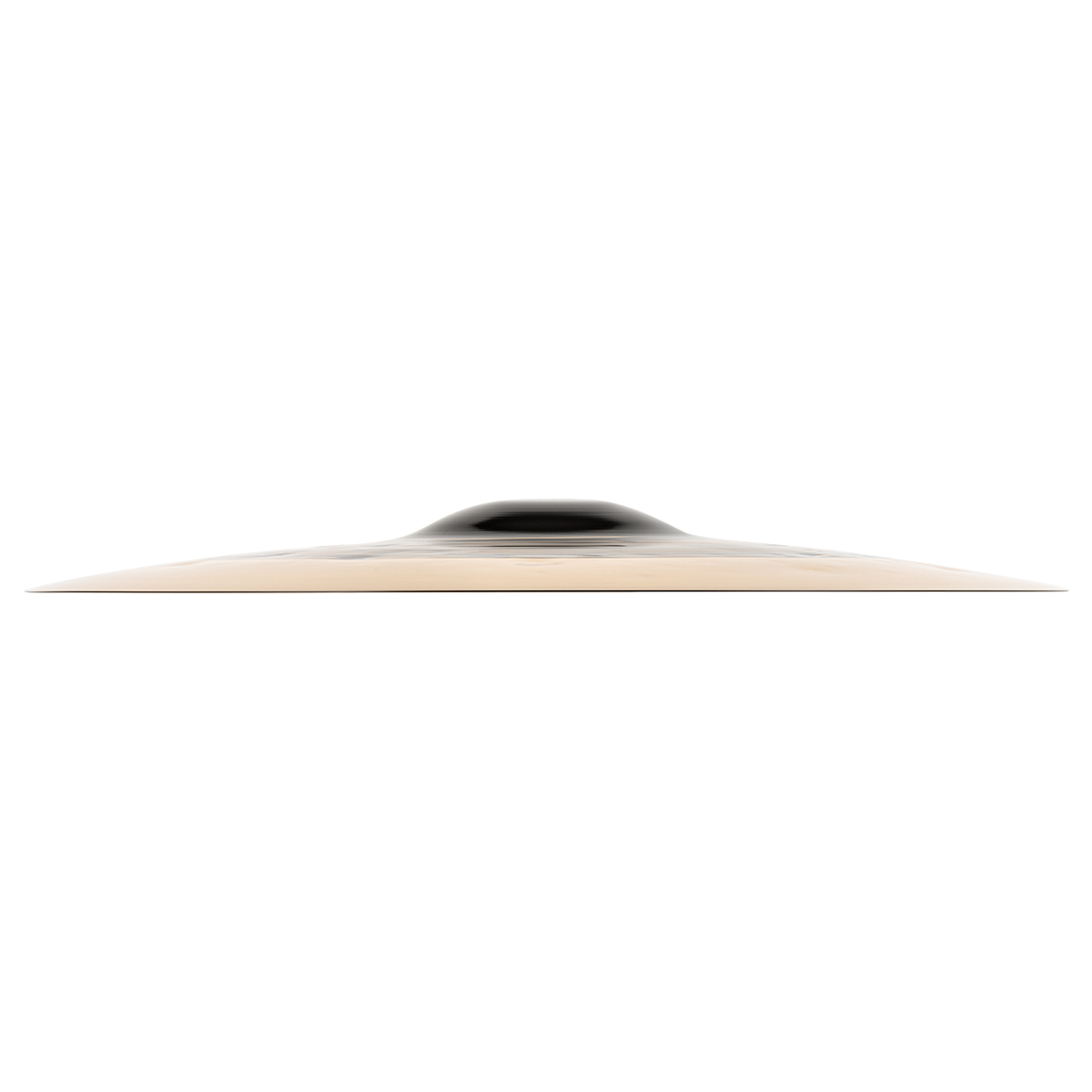 IPMEICC16DUC003.jpg