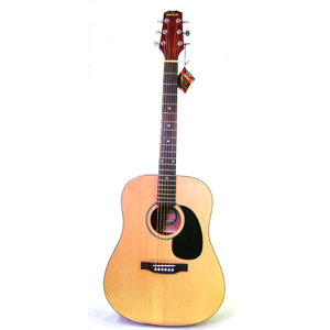 GUITARRA TIMBERLAND E/ACUSTICA TW-100E
