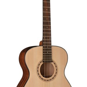 GUITARRA WASHBURN TEXANA    AF5