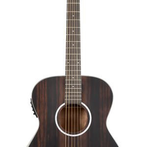 GUITARRA WASHBURN EACUST. MOD. EBONY FE