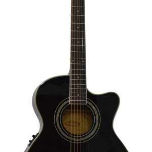 GUITARRA WASHBURN E/ACUSTICA EAT12