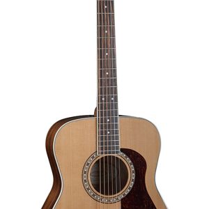 GUITARRA WASHBURN TEXANA     F11S