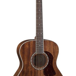 GUITARRA WASHBURN TEXANA    G12S