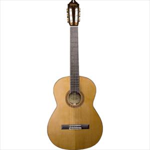 GUITARRA WASHBURN CLASICA  WC760SW
