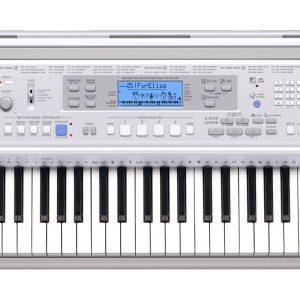 TECLADO CASIO PORTATIL    CTK-810