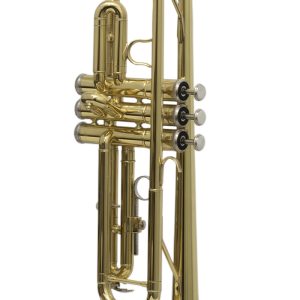 TROMPETA MAXIMA     MOD. KFTR-100G