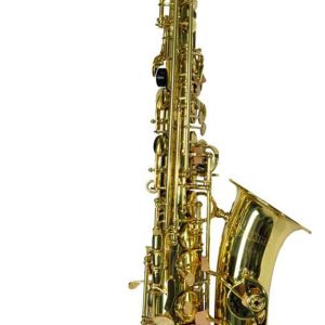 SAXOFON MAXIMA ALTO  MOD. SXC-21A/L