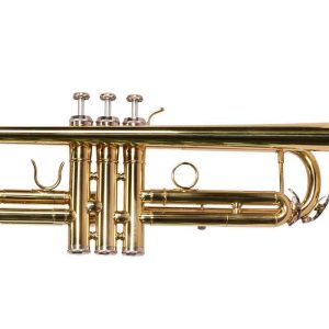 TROMPETA MAXIMA CON ESTUCHE TTC-234/L