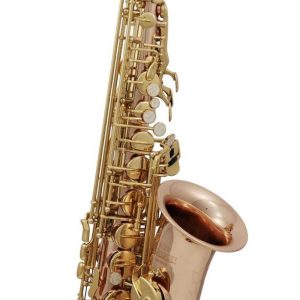 SAXOFON ROY BENSON   MOD. AS-202G