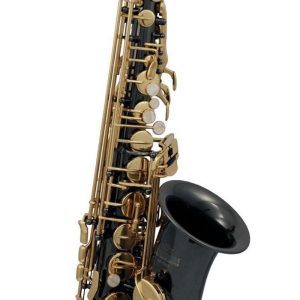 SAXOFON ROY BENSON   MOD. AS-202K