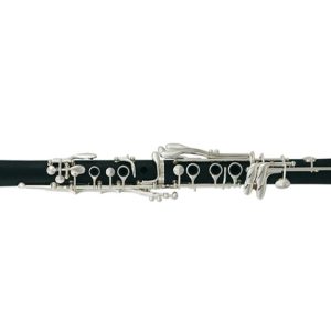 CLARINETE ROY BENSON   MOD. CB-217