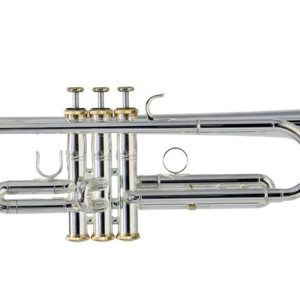 TROMPETA ROY BENSON C/ESTUCHE   CHARLI G