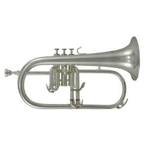 FLISCORNO ROY BENSON C/ESTUCHE FH-302S