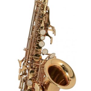 SAXOFON ROY BENSON   MOD. SG-302