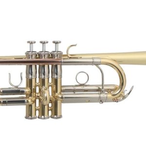 TROMPETA ROY BENSON C/ESTUCHE   TR-402C