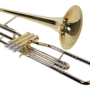 TROMBON WESNER EMBOLOS  MOD. PTT2000C-L
