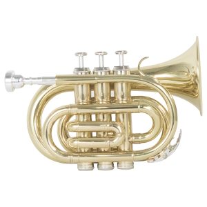 TROMPETA WESNER C/ESTUCHE MOD. STP1000-G