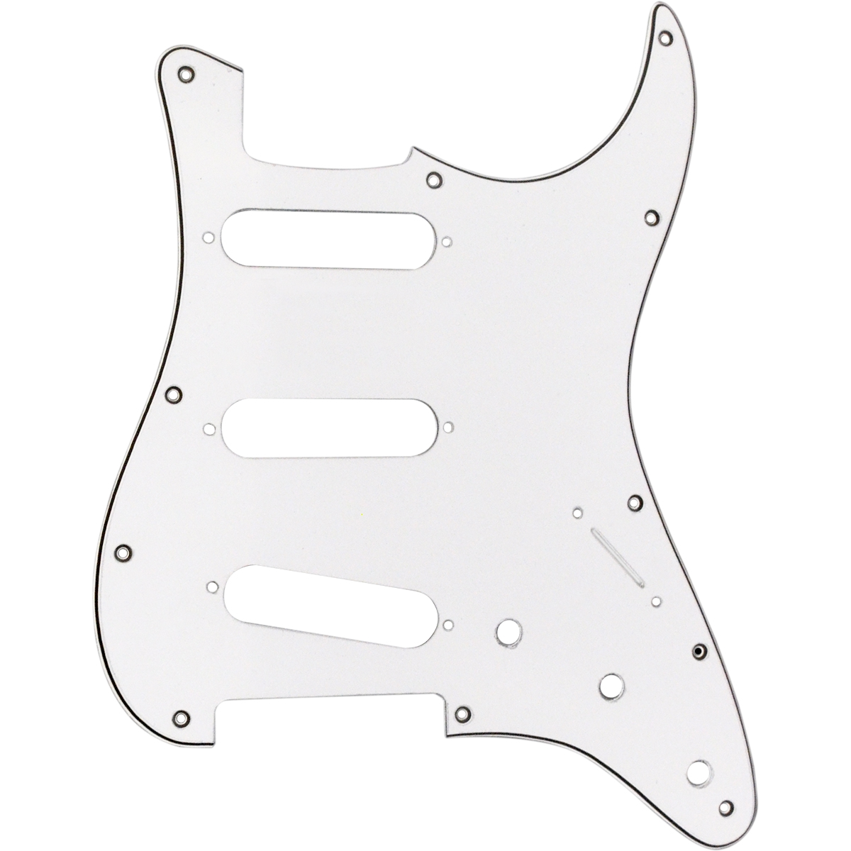 RADIMFG2108001.jpg