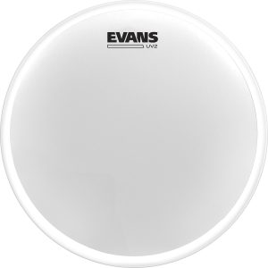 PARCHE EVANS 13      MOD. B13UV2