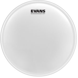 PARCHE EVANS 14      MOD. B14UV1   *1PZA