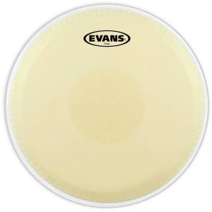 PARCHE EVANS P/CONGA MOD. EC0975
