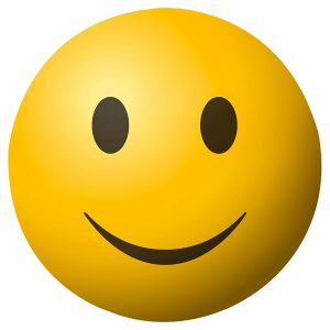 EFECTO (SHAKER) MEINL     MOD. FACE-H