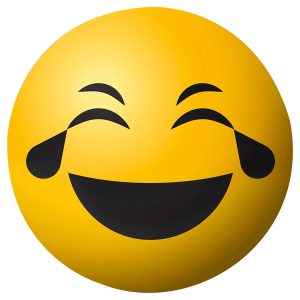 EFECTO (SHAKER) MEINL     MOD. FACE-L