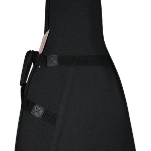 ESTUCHE PROEL P/GUIT. CLASICA  PFOAM-10