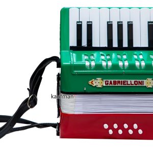 Acordeón Gabrielloni 17 Teclas Y 8 Bajos Color Tricolor