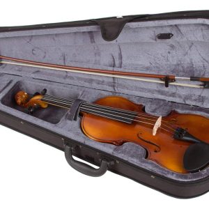 Violín Stagg Vn 4/4 Acústico De Arce Con Estuche