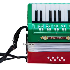 Acordeón De Iantil 17 Teclas Y 8 Bajos Color Tricolor